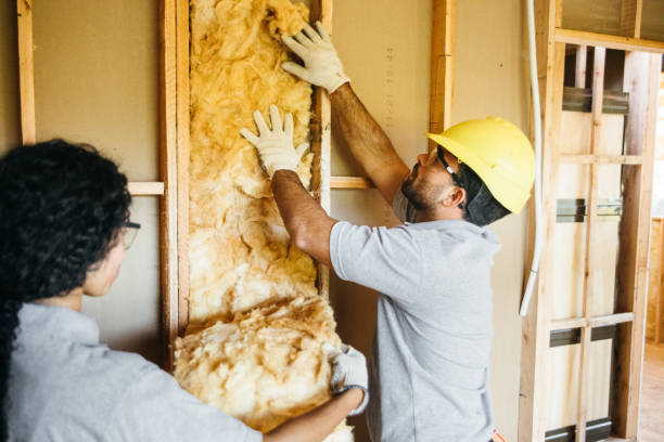 Best Attic Insulation Installation  in Monroe, NC