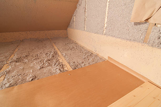 Best Insulation Inspection Services  in Monroe, NC